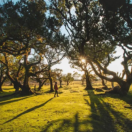 The Jolie - Lava Pools *