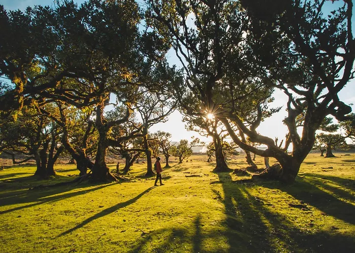 The Jolie - Lava Pools *